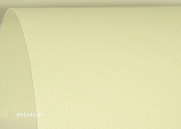 Papier ozdobny fakturowany wizytówkowy A4 ecru Aster Płótno