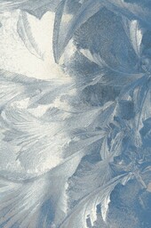 Dywan wełniany Agnella Isfahan Lotis jasny niebieski 200x300