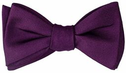 Mucha do Samodzielnego Zawiązania, Fioletowa, Elegancka -EM Mens