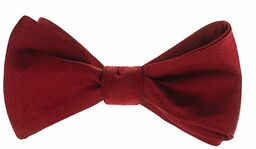 Mucha do Samodzielnego Zawiązania, Czerwona, Jedwabna, Elegancka -EM