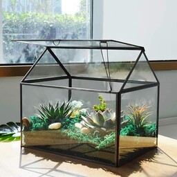 Duże szklane terrarium roślinne domowe terrarium ze szkłem,