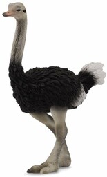 Collecta Struś