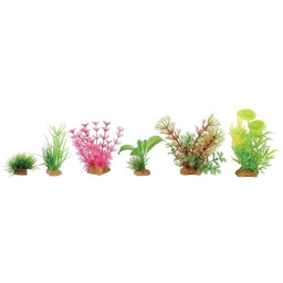ZOLUX Dekoracje roślinne mix x 6 szt. zestaw