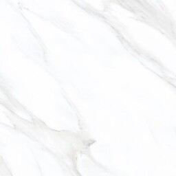 Gres polerowany Larive White Polished Rect 60 x