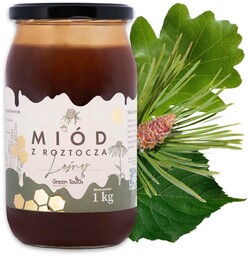 Miód leśny nektarowo spadziowy 1 kg spadź liściasta