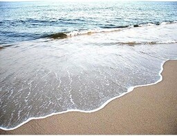 Wee Blue Coo Fotografia pejzaż morski plaża wybrzeże
