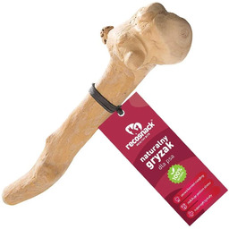 RECOSNACK patyk z drzewa kawowego gryzak dental L