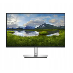 Monitor Dell P2425HE 23,8" Full Hd Ips 100Hz