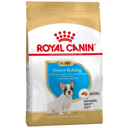 Royal Mini French Bulldog Puppy 3Kg