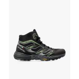 Buty turystyczne wysokie Zamberlan Anabasis GTX - męskie,