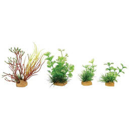 ZOLUX Dekoracje roślinne mix x 4 szt. zestaw