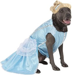 Rubie''s Disney Princess kostium dla zwierząt domowych, Kopciuszek,