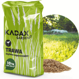Trawa uniwersalna Riset szybko zagęszczająca 10 kg 400