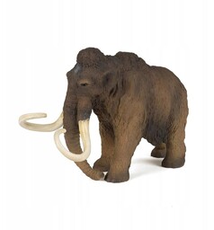 Mamut, Papo