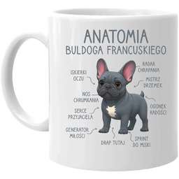 Anatomia buldoga francuskiego - niebieski - kubek