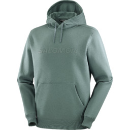 BLUZA MĘSK SALOMON BIG LOGO M C25253