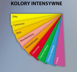 Papier ksero EMERSON A4/80 pomarańczowy