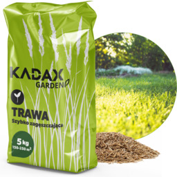 Trawa uniwersalna Riset szybko zagęszczająca 5 kg 250