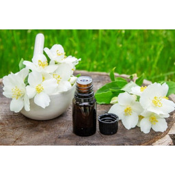 Olejek eteryczny Jaśmin Absolut