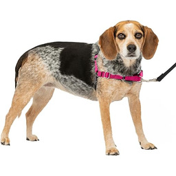 PetSafe Uprząż dla psa Easy Walk.