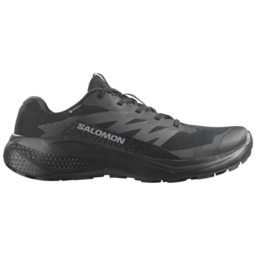 BUTY MĘSKIE SALOMON ALPHAGLIDE GTX M 478021