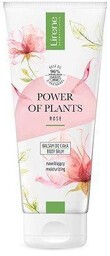 LIRENE Power Of Plants Róża Balsam do ciała