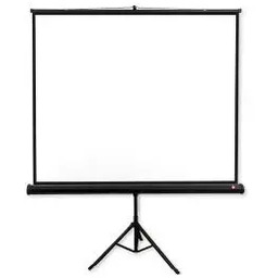 AVTek Tripod Pro 180x180 Ekran do projektora