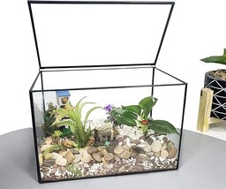 Ferrisland Szklana roślina terrarium pojemnik wardiański obudowa wewnętrzna