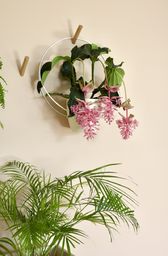 KWIETNIK ŚCIENNY FLOR