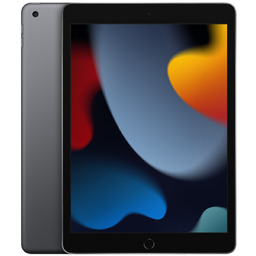 Apple 10.2-inch iPad Wi-Fi 256GB - Space Grey