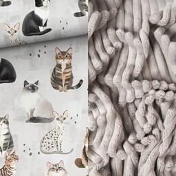 Pakamera WYJĄTKOWY koc _ koty _ kotki _