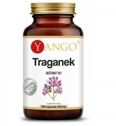 Traganek - ekstrakt 10:1 - 100 kaps Yango