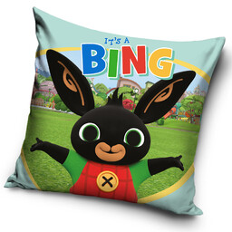 Carbotex Poszewka dekoracyjna 40x40 Bing 223018 kolorowa welwetowa