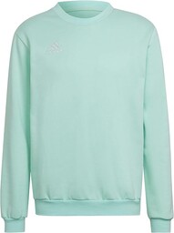 adidas Mężczyźni Entrada 22 Sweatshirt, Clear Mint, XS