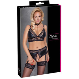 Bra and Suspender Briefs XL