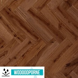 Panele winylowe SPC BARLINEK NEXO HOME DĄB ROBIN