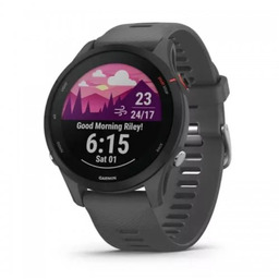Garmin Forerunner 255 Slate Gray 010-02641-10