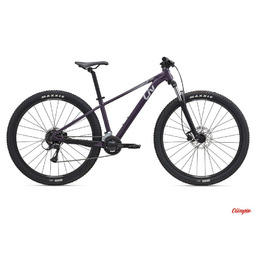 Giant Rower Liv Tempt 3 29