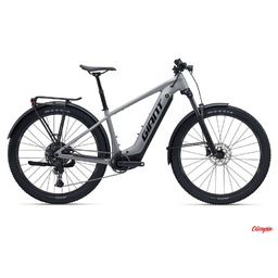 Giant Rower elektryczny Fathom E+ EX Good Grey