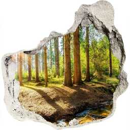 Dziura 3d w ścianie na ścianę Panorama las