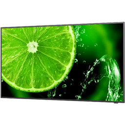 NEC MultiSync E328-2 32" Wyświetlacz