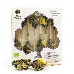 Herbatka na patyku Trawienie EKO 8x3,25g Dary Natury