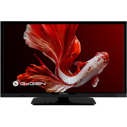 GoGEN TVH24P352T