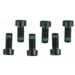 SACHS 1874 000 089 Zestaw żrub, koło zamachowe