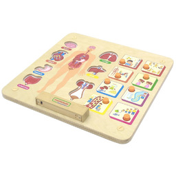 MASTERKIDZ Tablica Edukacyjna Układ Ciała Ludzkiego Montessori