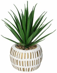 Dekoracja Aloes w doniczce 13cm, 8 x 8