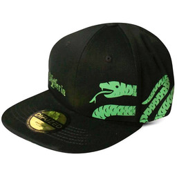 Czapka Difuzed Harry Potter Slytherin snapback Cap