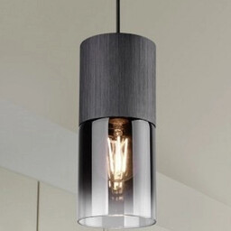 Trio Wisząca lampa loftowa Robin 310600132 szklana tuba