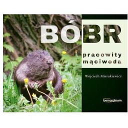 Bóbr pracowity mąciwoda