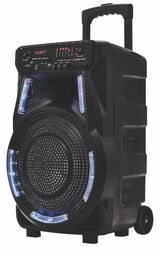 Manta SPK5033 40W Bluetooth Radio FM Czarny Power